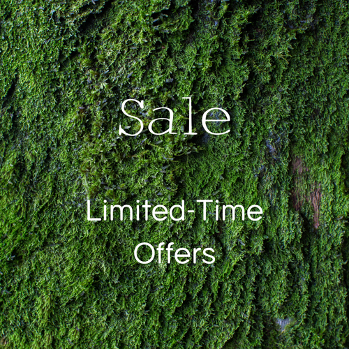 Special Offers
