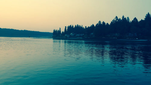 Silhouette of trees on a lake at sunset