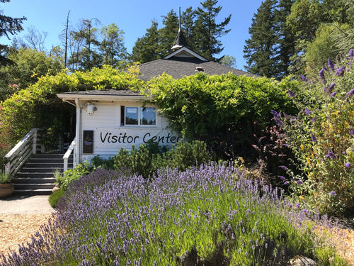 view of the Roche Harbor visitor center, with flowers blooming in the foreground