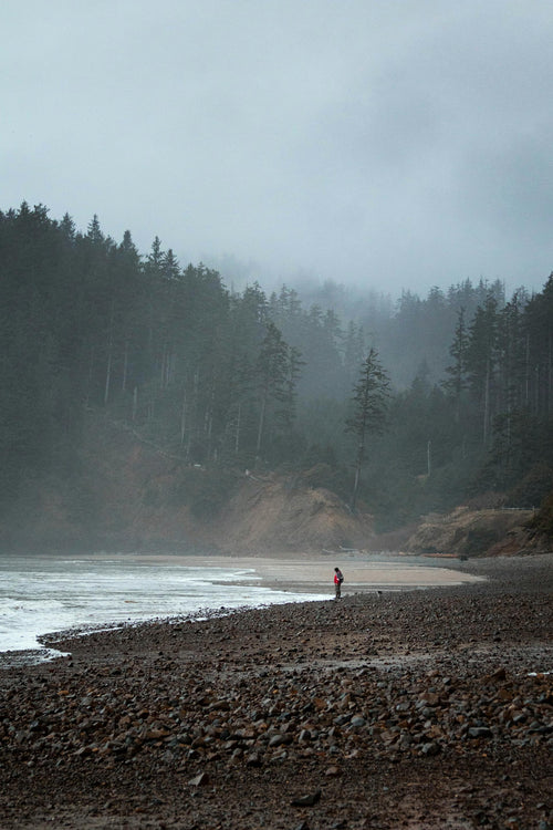 a person on a foggy rocky shore, with trees in the distance