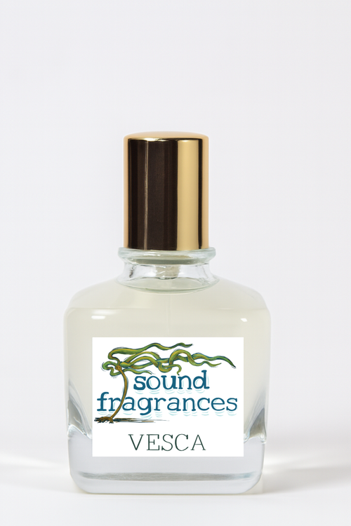 Full-size bottle of Sound Fragrances Vesca eau de parfum, inspired by PNW berry season