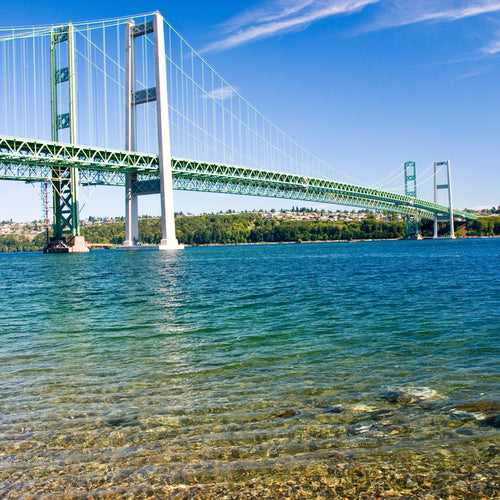 view of Tacoma Narrows Bridge
